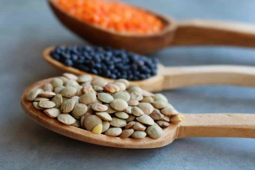 seeds- High Fibre Foods to Include in Your Daily Diet