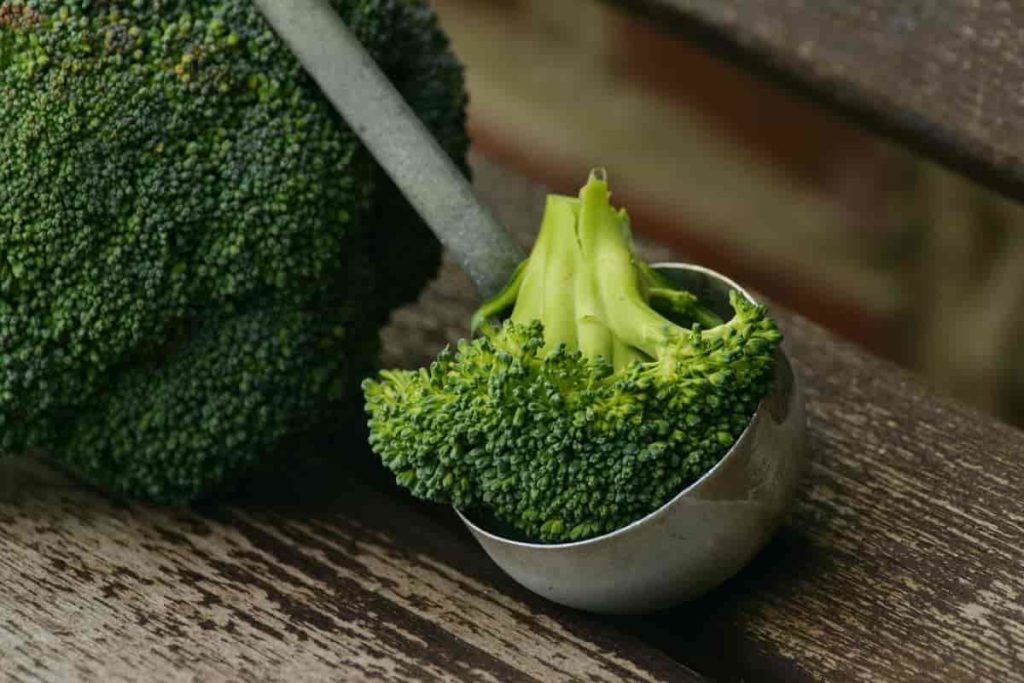 Broccoli- High Fibre Foods to Include in Your Daily Diet