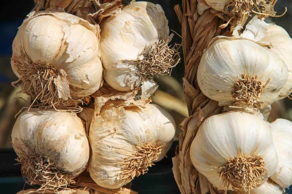 Garlic-Home Remedies for Food Poisoning
