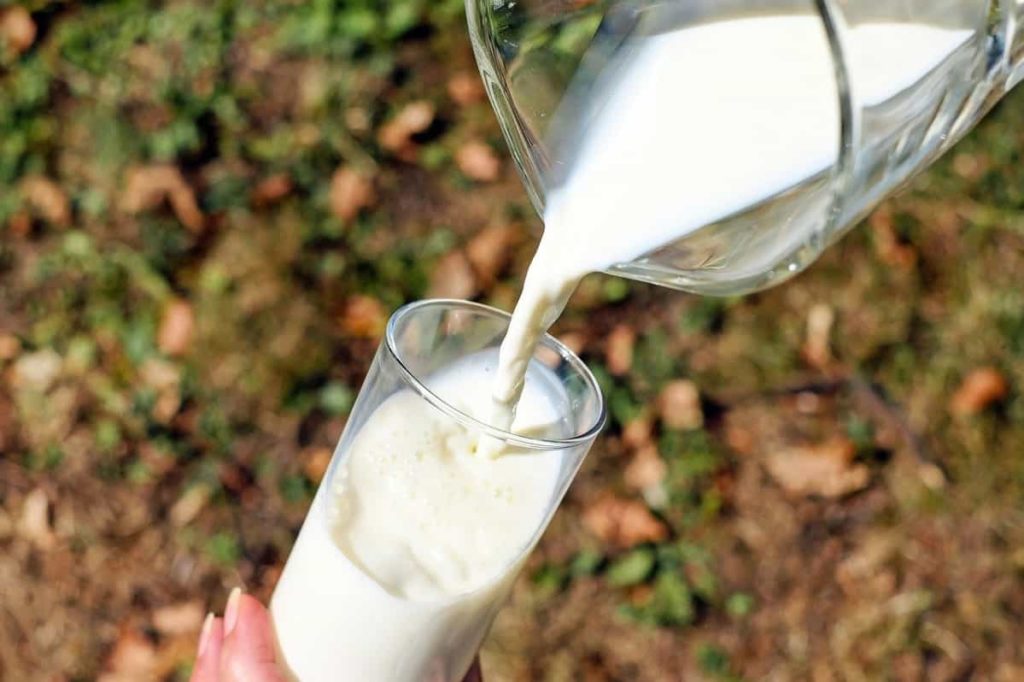 Milk- Incredible Beauty Tips for Flawless Skin and Hair