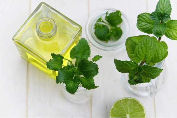 Peppermint-Quick Home Remedies to Get Rid of Headaches