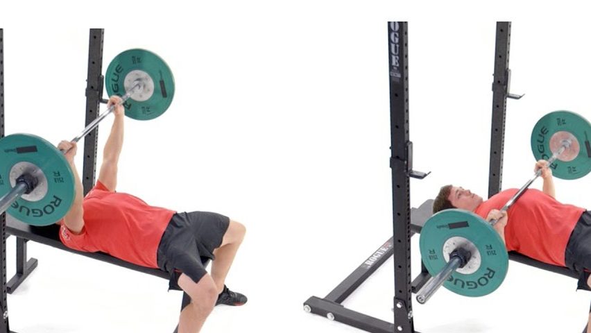exercises to gain weight- bench press