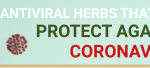 corona virus herbs to eat