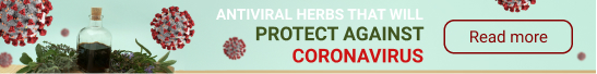 Antiviral Herbs That Will Help Against The Corona Virus